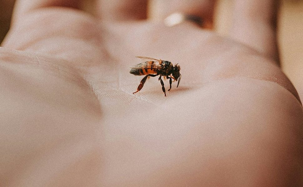 Φωτ. αρχείου UNSPLASH Φωτ. αρχείου UNSPLASH