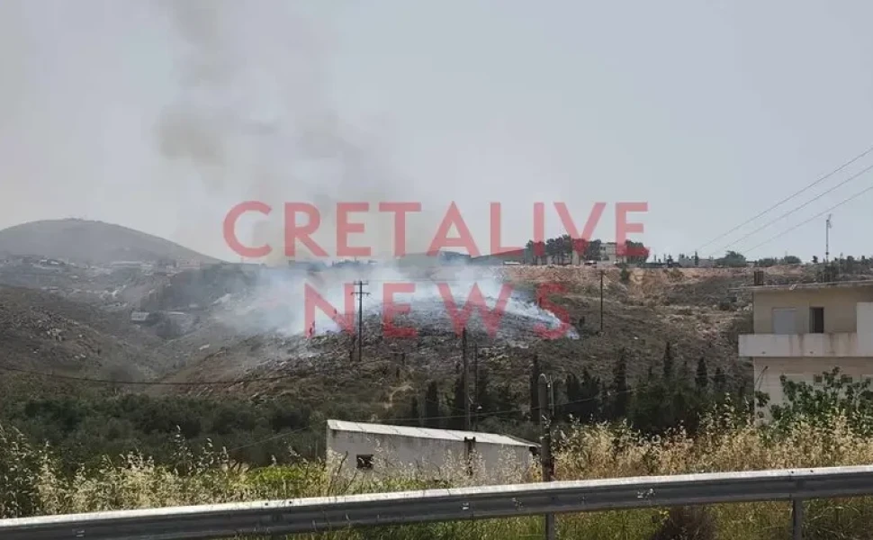 cteralive cteralive