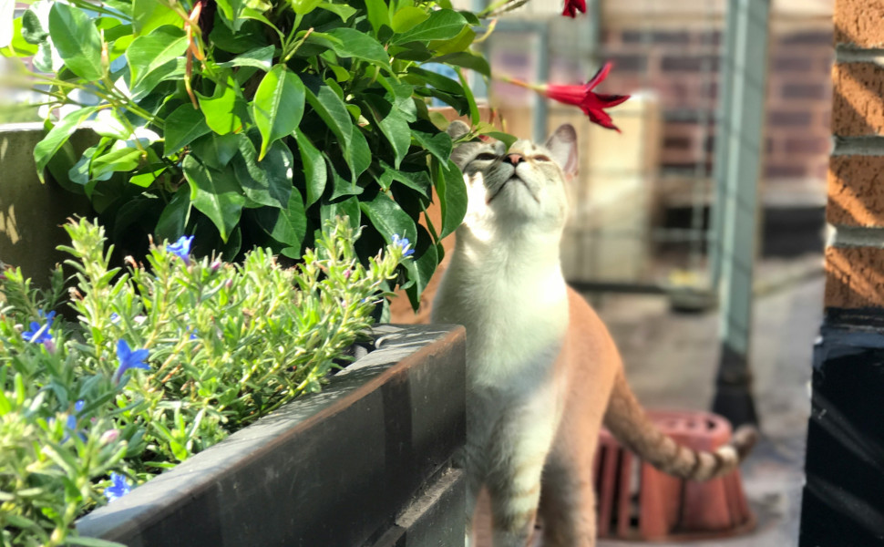 Φωτό: Unsplash Φωτό: Unsplash