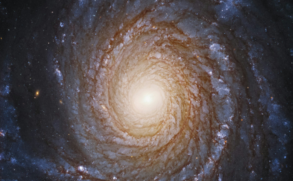 Unsplash