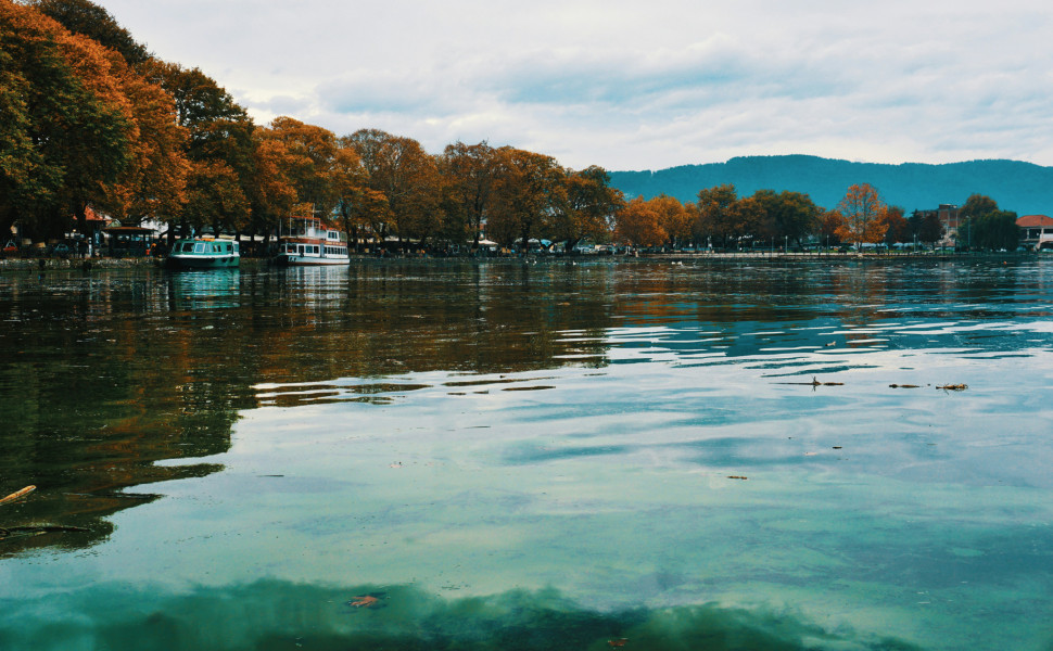 Φωτό: Unsplash Φωτό: Unsplash