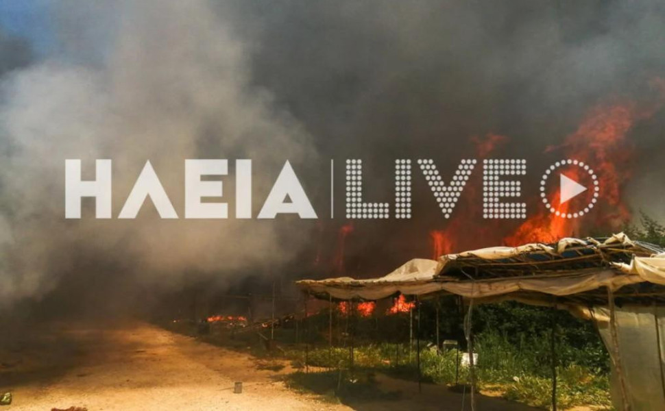 Φωτ.: ilialive.gr Φωτ.: ilialive.gr