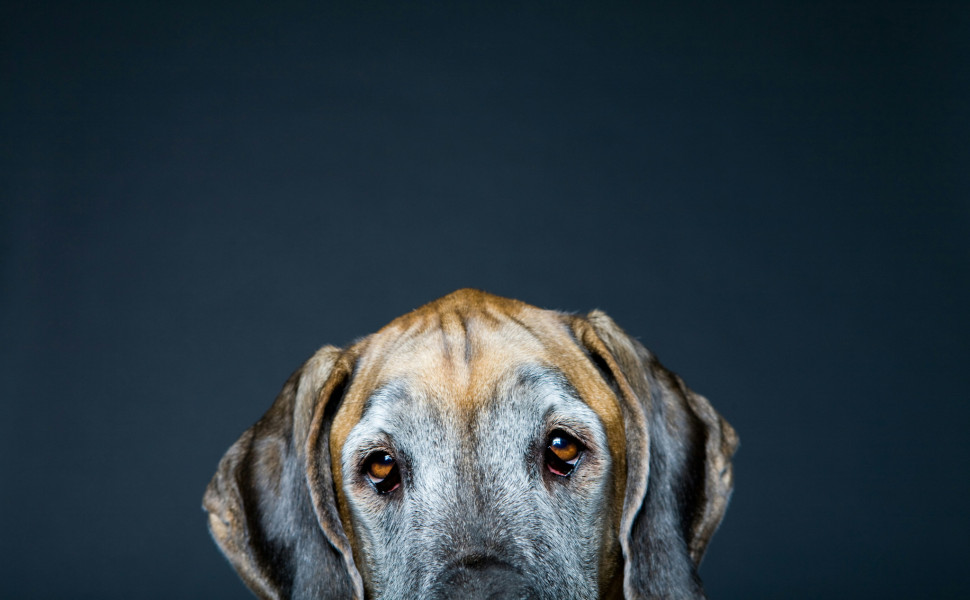 Unsplash