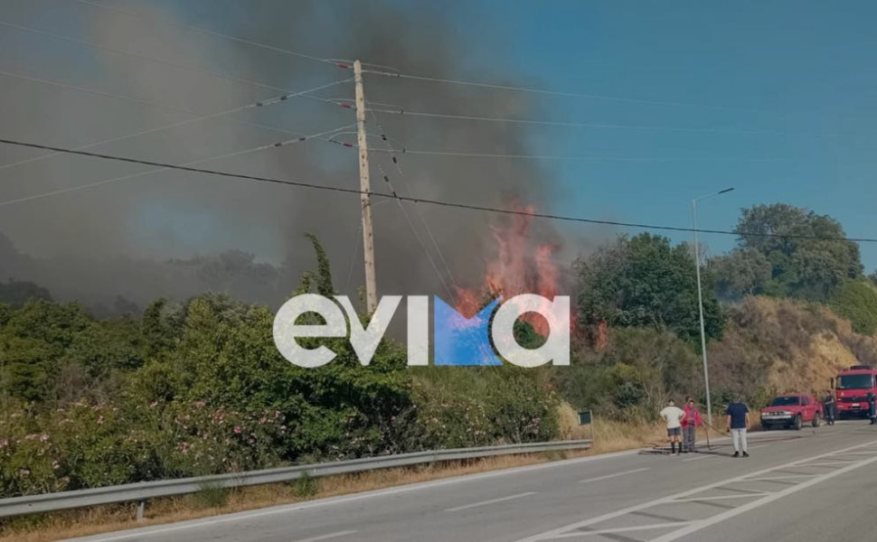 Φωτό: evima.gr Φωτό: evima.gr