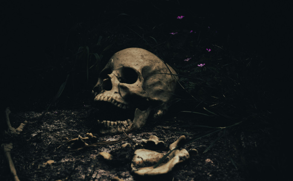 Jon Butterworth - Unsplash Jon Butterworth - Unsplash