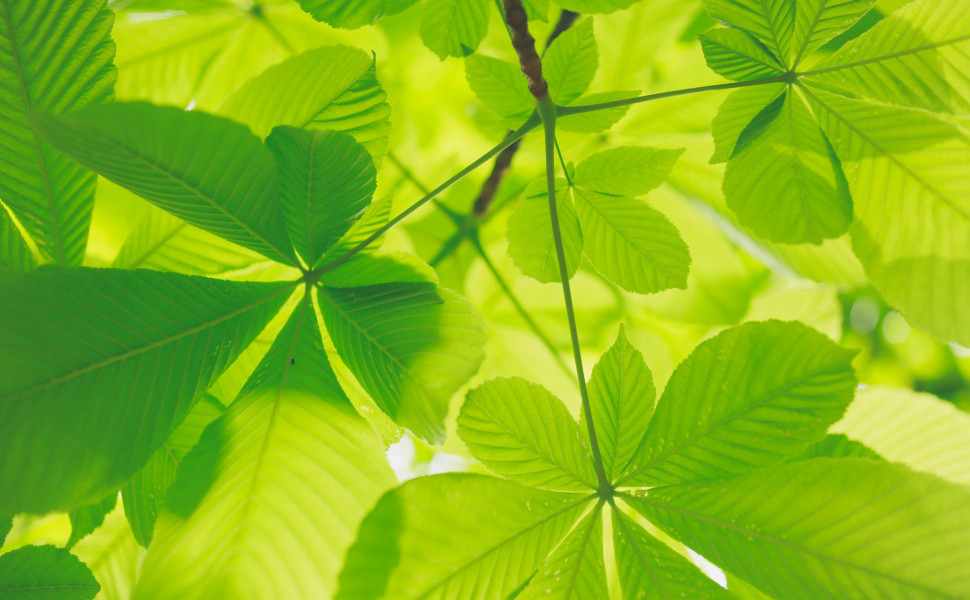 Kumiko Shimizu - Unsplash Kumiko Shimizu - Unsplash