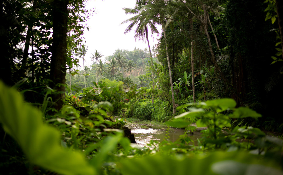 Unsplash