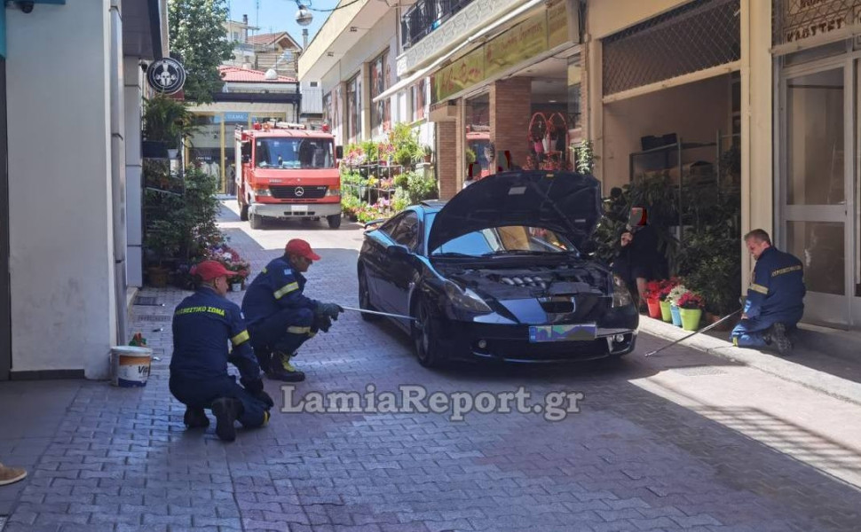 Lamiareport