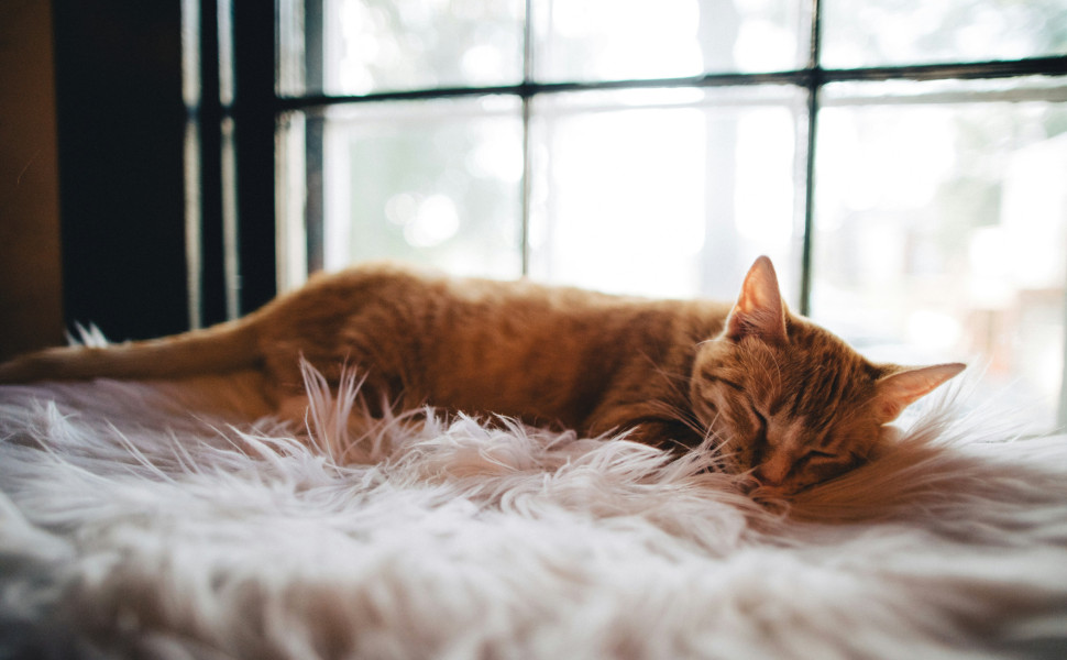 Wes Hicks - Unsplash Wes Hicks - Unsplash