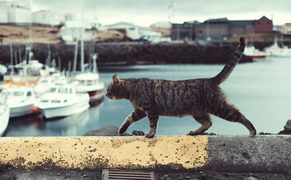 Unsplash Unsplash