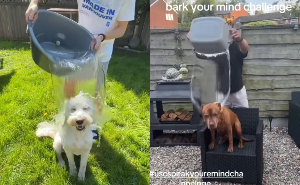 πηγή: TikTok πηγή: TikTok