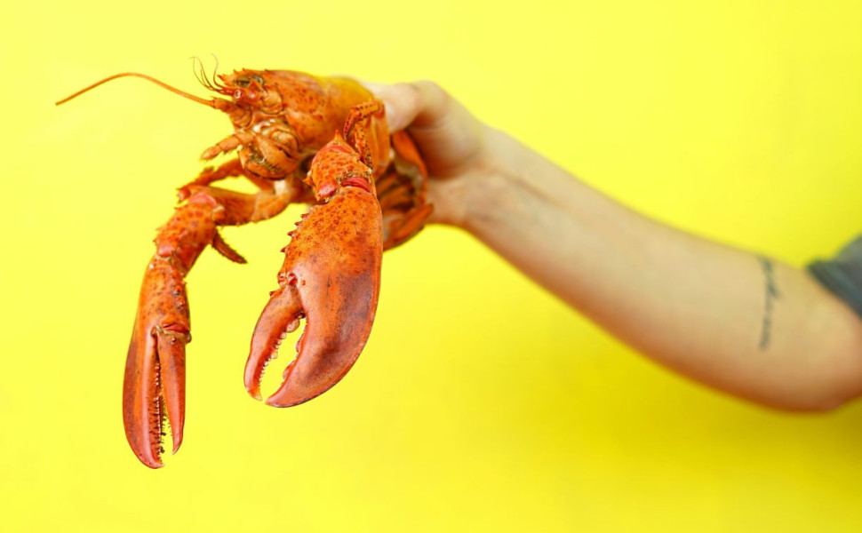 Φωτ. αρχείου UNSPLASH