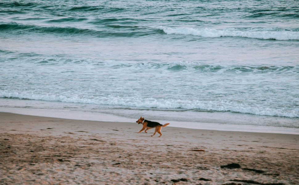 Φωτογραφία: Unsplash