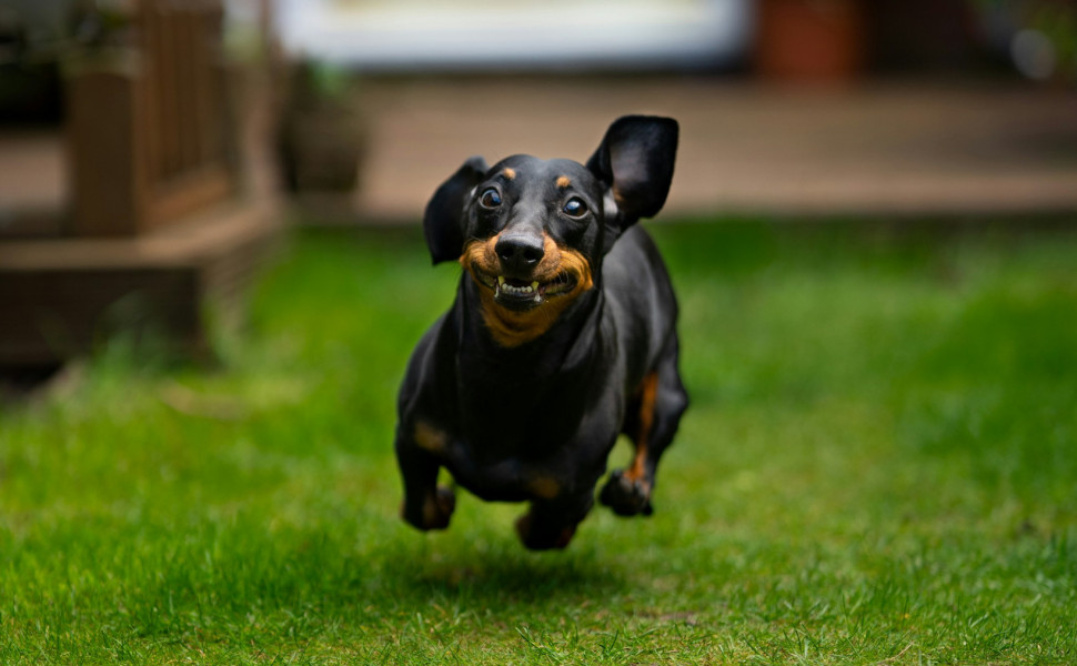 Photo by James Watson on Unsplash Photo by James Watson on Unsplash