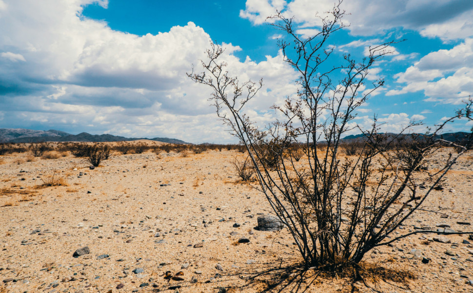 Unsplash Unsplash