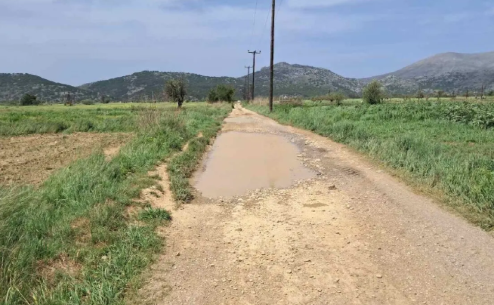 Πηγή: cretalive.gr
