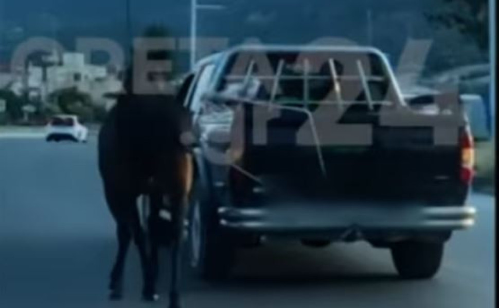 Φωτό: Youtube/Τηλεόραση Creta