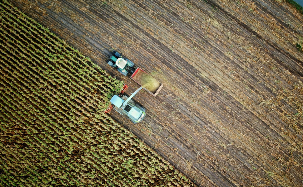 Unsplash