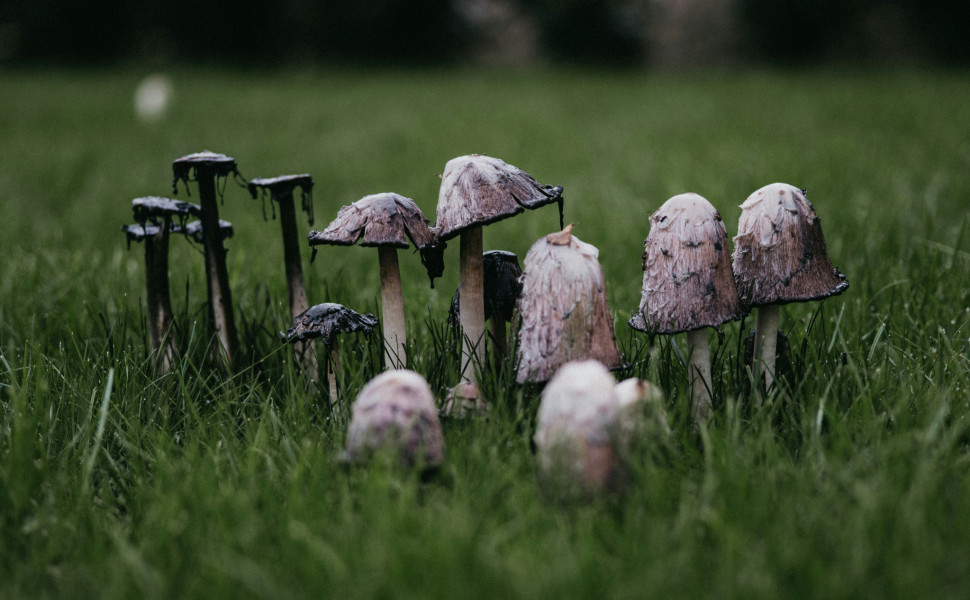 Φωτογραφία: Unsplash Φωτογραφία: Unsplash