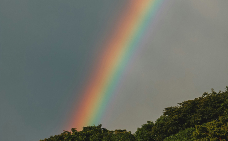 Φωτογραφία: Unsplash Φωτογραφία: Unsplash