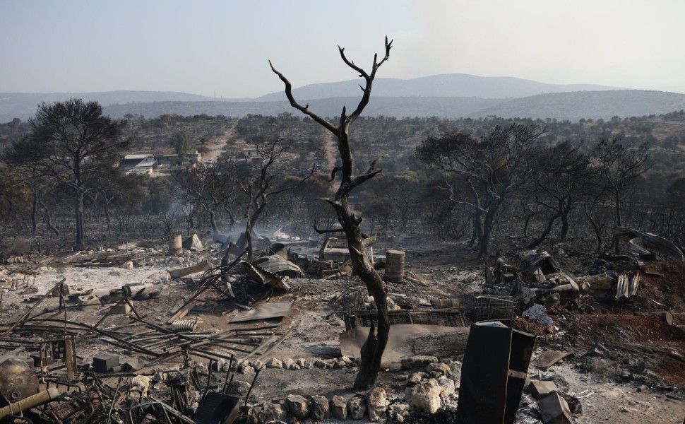 Πυρκαγιά στην περιοχή της Μάνδρας, Τετάρτη 19 Ιουλίου 2023. 
(ΒΑΣΙΛΗΣ ΡΕΜΠΑΠΗΣ/EUROKINISSI)