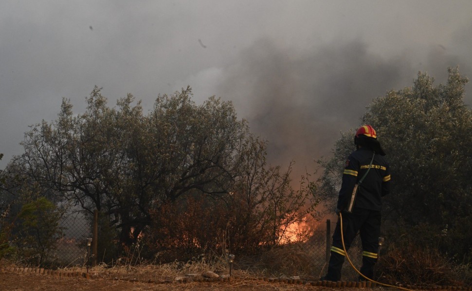 Μεγάλη αναζωπύρωση της πυρκαγιάς στην περιοχή της Νέας Αγχιάλου Μαγνησίας το απόγευμα της Πέμπτης 27 Ιουλίου 2023. Στη μάχη για την κατάσβεση της φωτιάς συμμετέχουν 5 πυροσβεστικά αεροσκάφη, 85 πυροσβεστικά οχήματα, 8 πεζοπόρα τμήματα, δεκάδες υδροφόρες τ