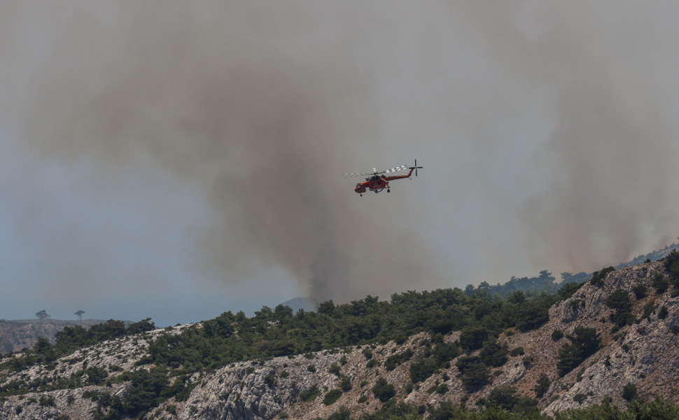 Φωτό: ΚΩΣΤΑΣ ΑΝΑΓΝΩΣΤΟΥ/EUROKINISSI Φωτό: ΚΩΣΤΑΣ ΑΝΑΓΝΩΣΤΟΥ/EUROKINISSI
