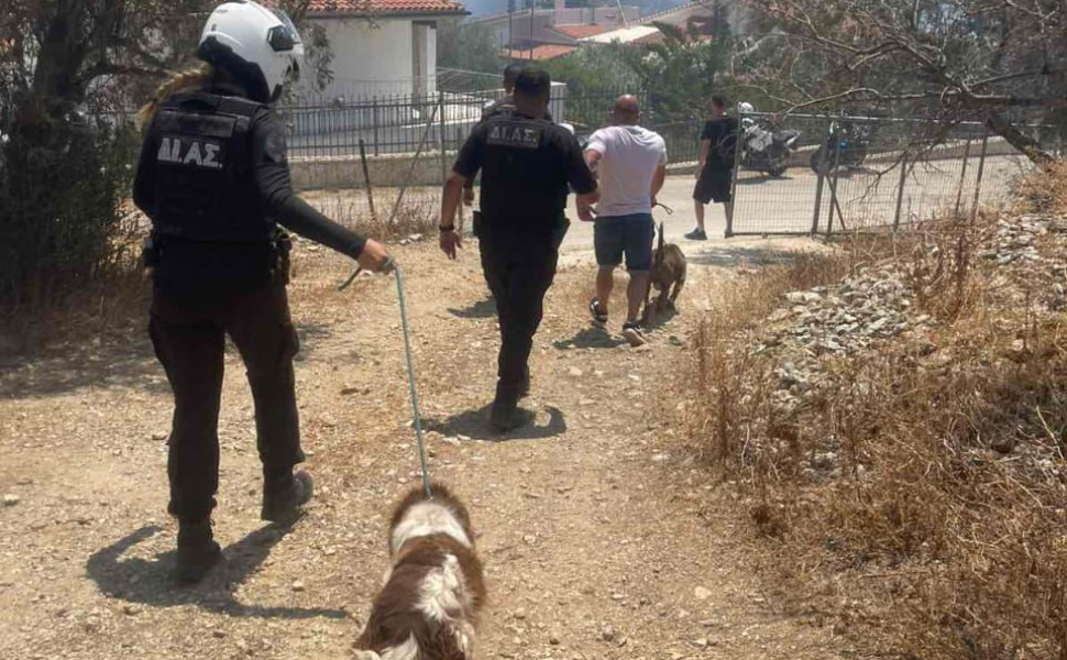 Πηγή: ΕΛ.ΑΣ. Πηγή: ΕΛ.ΑΣ.