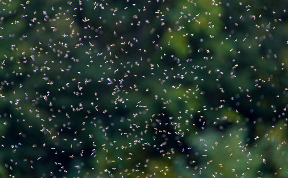 Φωτό αρχείου: IMAGO/Cavan Images Φωτό αρχείου: IMAGO/Cavan Images