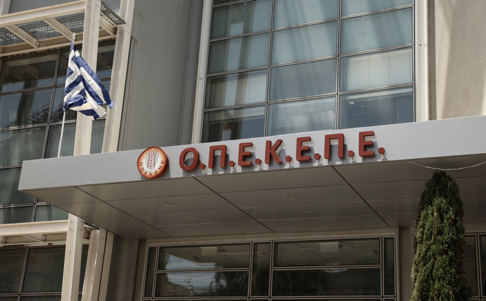 Φωτο: Intime Φωτο: Intime