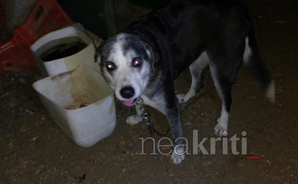 Neakriti.gr