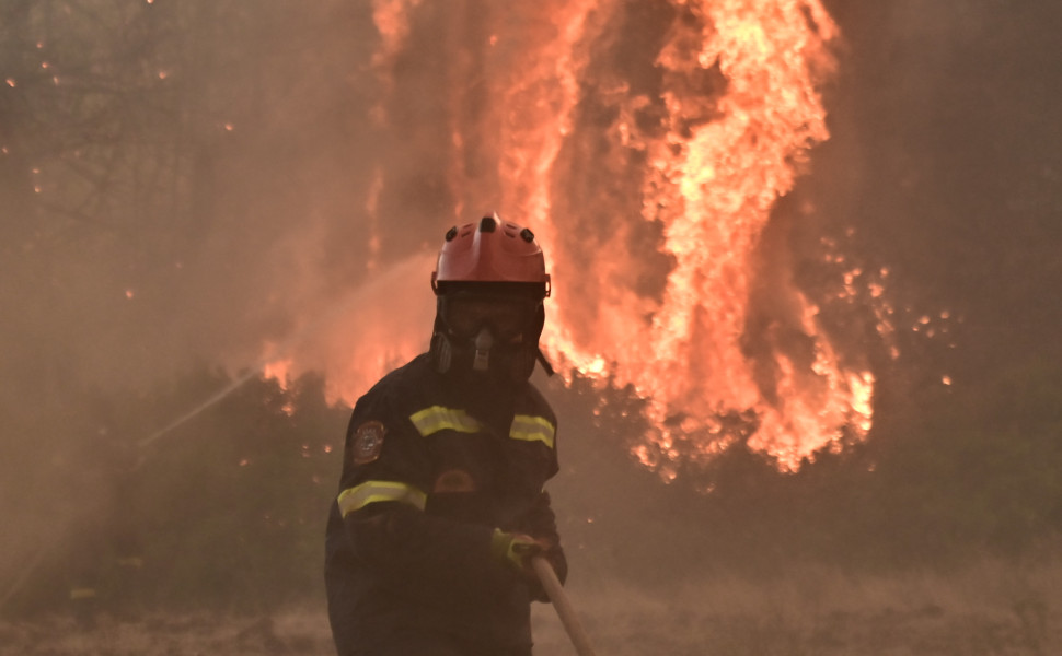 Φωτιά στον Ωρωπό / Φωτ.: Eurokinissi Φωτιά στον Ωρωπό / Φωτ.: Eurokinissi