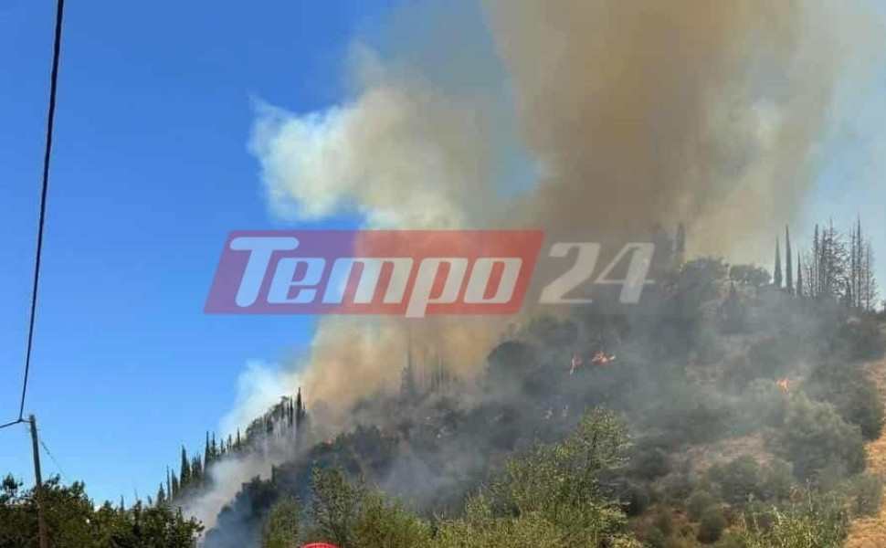 Tempo24 Tempo24