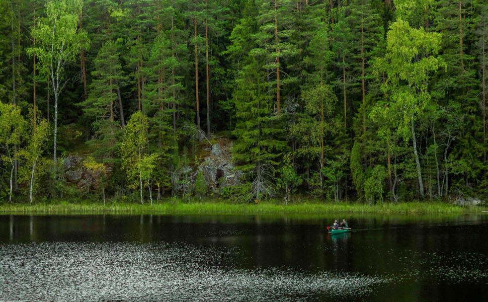Φωτό: Unsplash Φωτό: Unsplash