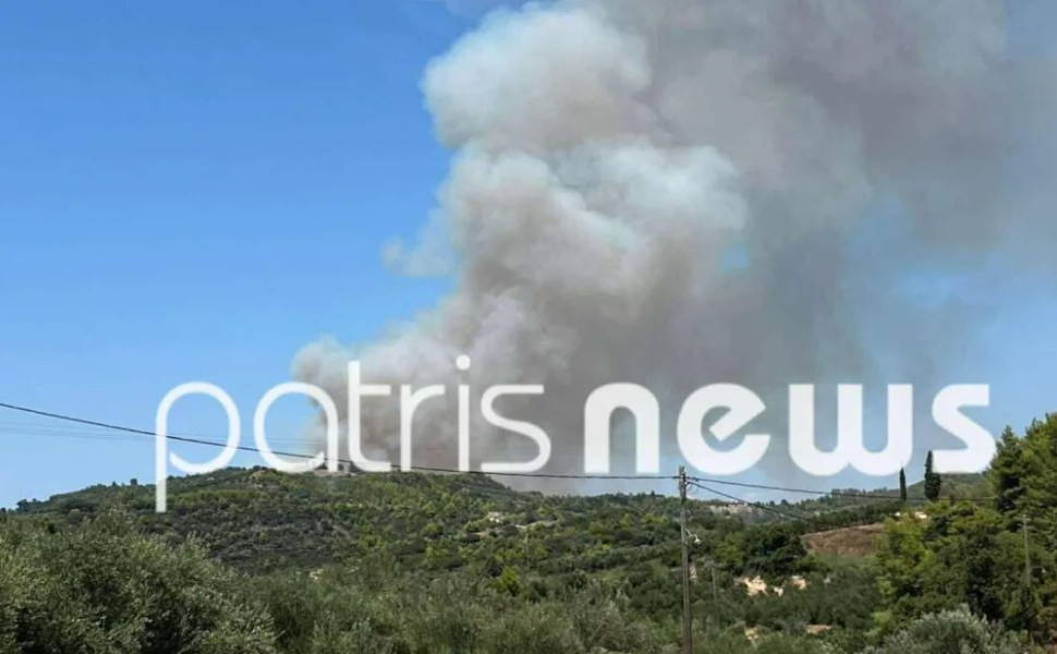 Δύσκολη είναι η μάχη των πυροσβαστών με τις φλόγες στα Αστεραίικα της Ηλείας/Φωτ. PATRIS NEWS